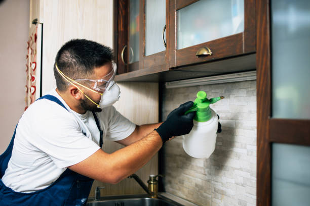 Best Emergency Pest Control  in Fellsmere, FL