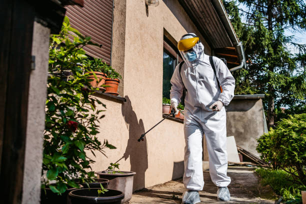 Best Wildlife Control Services  in Fellsmere, FL
