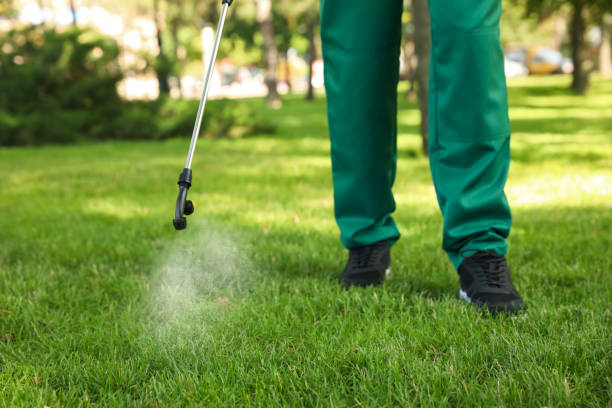 Best Best Pest Control Companies  in Fellsmere, FL