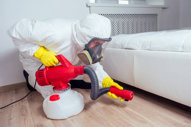 Best Best Pest Control Companies  in Fellsmere, FL