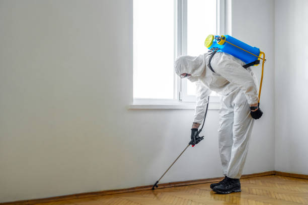 Best Pest Control Near Me  in Fellsmere, FL