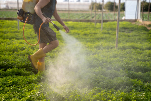 Best Residential Pest Control  in Fellsmere, FL