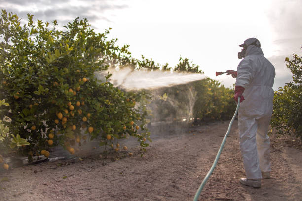 Best Emergency Pest Control  in Fellsmere, FL