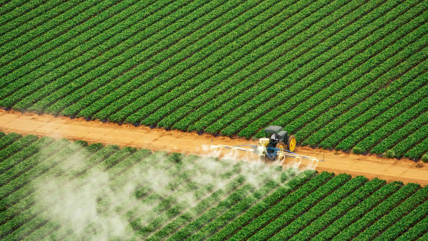 Best Mosquito Control Services  in Fellsmere, FL