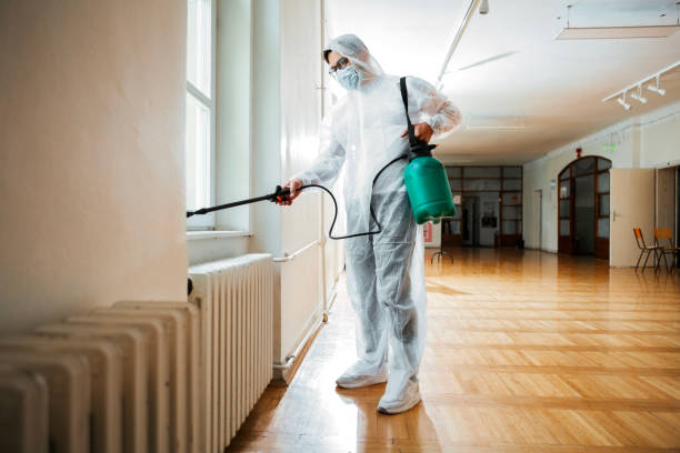 Wasp Removal Services in Fellsmere, FL