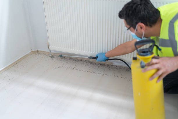 Best Pest Prevention Services  in Fellsmere, FL