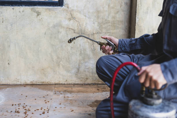 Best Exterminator Services  in Fellsmere, FL
